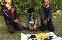  Bắt giữ ba đối tượng người Lào vận chuyển 24.000 viên ma túy 