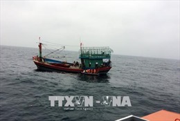 Quảng Ngãi cứu sống 8 thuyền viên trên tàu cá bị nạn tại ngư trường Hoàng Sa