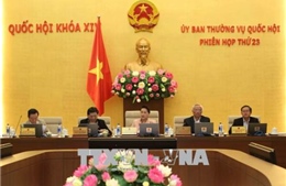 Rà soát kỹ chính sách ưu đãi tại các đơn vị hành chính – kinh tế đặc biệt 