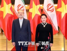 Chủ tịch Quốc hội Nguyễn Thị Kim Ngân đón, hội đàm với Chủ tịch Quốc hội nước Cộng hòa Hồi giáo Iran 
