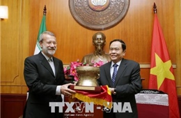 Mở rộng giao lưu, hợp tác Việt Nam - Iran