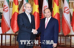 Thủ tướng Nguyễn Xuân Phúc tiếp Chủ tịch Quốc hội Cộng hòa Hồi giáo Iran 