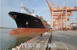 Chi nhánh Cảng Tân Vũ đón tàu container lớn nhất từ trước đến nay 