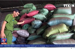 Trộn hóa chất bẩn vào cà phê phế phẩm tại Đắk Nông