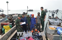Quảng Ninh: Bắt giữ 4 bè mảng khai thác thủy sản trái phép