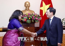Phó Thủ tướng, Bộ trưởng Ngoại giao Phạm Bình Minh tiếp Đại sứ Bangladesh 