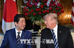 Nhật Bản, Mỹ nhất trí khởi động đàm phán FTA