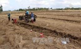 Báo động tình trạng khai thác và bán đất mặt ruộng ở Bạc Liêu