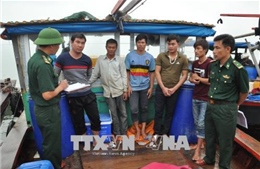 Quảng Ninh bắt giữ 5 tàu khai thác thủy sản trái phép 