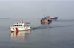 Bắt quả tang nhiều tàu cá mua bán dầu trái phép trên vùng biển Cà Mau 