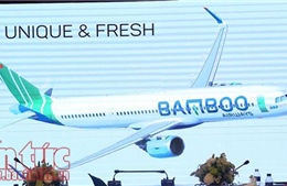 Bamboo Airways gia nhập ngành hàng không, cất cánh cuối năm 2018