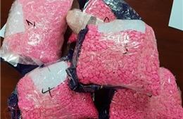 Phát hiện ma túy tổng hợp theo đường chuyển phát nhanh từ Hà Lan về Việt Nam 