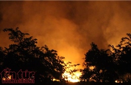 Cháy lớn ven rừng tràm ở huyện Bình Chánh