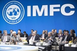 Hội nghị mùa Xuân IMF - WB: G20 bế tắc trong giải quyết tranh chấp thương mại 