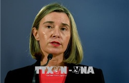 EU, Anh hoan nghênh quyết định ngừng thử hạt nhân của Triều Tiên