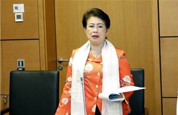 Thanh tra Chính phủ kiến nghị xử lý kỷ luật Phó Bí thư Tỉnh ủy Đồng Nai Phan Thị Mỹ Thanh 