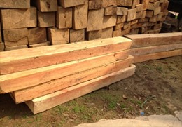 Bắt quả tang vụ vận chuyển hơn 2 tấn gỗ trắc không rõ nguồn gốc