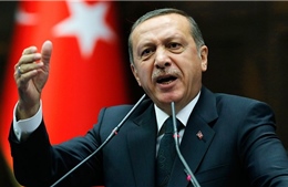 Tổng thống Thổ Nhĩ Kỳ tố các đối tác chiến lược gây nguy hiểm cho Ankara