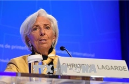 IMF hối thúc Mỹ và Trung Quốc giải quyết căng thẳng thương mại 