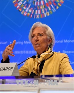 IMF công bố chính sách chống tham nhũng mới
