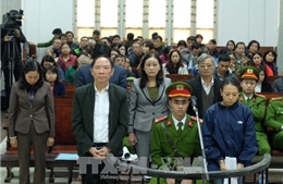 Ngày 14/5, nguyên Phó Giám đốc Sở NN&PTNT Hà Nội ra hầu tòa