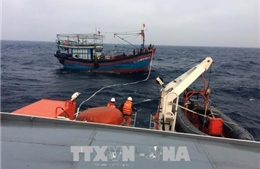 Tàu cá Đà Nẵng bị nạn trên biển đã trở về bờ an toàn