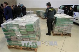 Tây Ban Nha thu giữ 9 tấn ma túy giấu trong container chuối