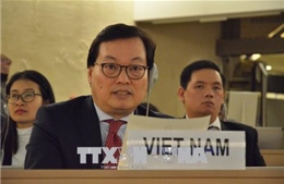 Việt Nam ủng hộ nỗ lực của cộng đồng quốc tế nhằm giải trừ vũ khí hạt nhân 