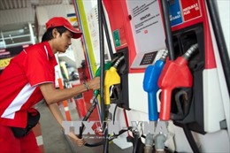 Indonesia hoàn tất thủ tục kiện Mỹ áp thuế chống bán phá giá dầu sinh học