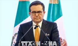 Bộ trưởng Mexico: Còn nhiều vấn đề cần giải quyết trong tái đàm phán NAFTA 