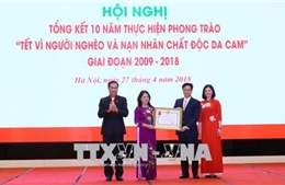 Phát triển sâu rộng phong trào 'Tết vì người nghèo và nạn nhân chất độc da cam' 