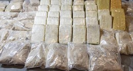 Thu giữ 71 kg ma túy cực mạnh của một mạng lưới buôn bán quốc tế