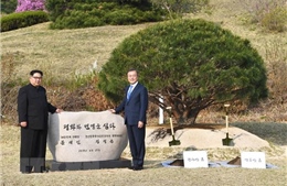 Tổng thống Hàn Quốc kêu gọi quốc hội phê chuẩn Tuyên bố Panmunjom