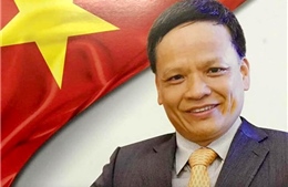 Đại sứ Nguyễn Hồng Thao trở thành Phó Chủ tịch thứ hai của Ủy ban Luật pháp Quốc tế LHQ