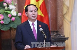 Chủ tịch nước Trần Đại Quang gửi thư nhân Ngày truyền thống phòng, chống thiên tai của Việt Nam 