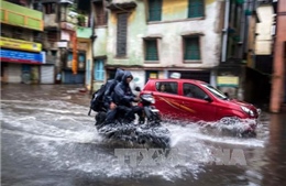 Hàng chục người thương vong do bão lớn tại Ấn Độ 