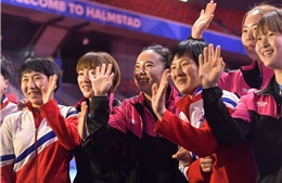 Tín hiệu gì từ việc Hàn - Triều hợp nhất đội tuyển bóng bàn nữ