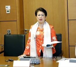 Cách tất cả chức vụ Đảng, xem xét bãi nhiệm đại biểu Quốc hội với bà Phan Thị Mỹ Thanh 