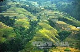 Thị xã Sa Pa sẽ thành lập trên cơ sở giữ nguyên trạng địa giới huyện Sa Pa hiện nay