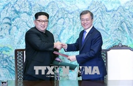 Trình kiến nghị phê chuẩn Tuyên bố Panmunjom lên Quốc hội Hàn Quốc