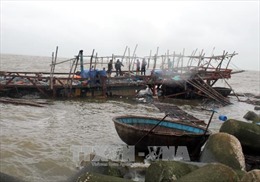 Tàu giã cào bất chấp quy định, hoạt động sai tuyến vẫn diễn ra ở Bình Thuận 