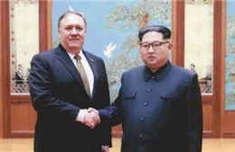 Cuộc gặp giữa tân Ngoại trưởng Mỹ và lãnh đạo Triều Tiên diễn ra &#39;rất tuyệt vời&#39;