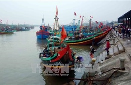  Việt Nam có thể trở thành hình mẫu trong việc giảm khai thác hải sản bất hợp pháp