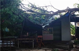 Đắk Lắk: Mưa lớn kèm lốc xoáy gây thiệt hại về người và tài sản tại Ea Súp 