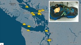 Giải mã bí ẩn 14 chiếc chân người trôi dạt vào bờ biển Canada