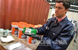 Phát hiện vụ vận chuyển trái phép 200 kg ma túy đá giấu trong container