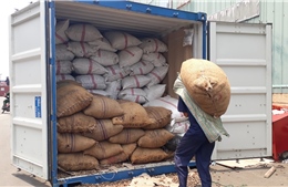 Container chứa hơn 3 tấn vẩy tê tê ‘ngụy trang’ là bao hạt điều