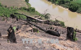 Đắk Lắk: Nhiều diện tích rừng Khu Bảo tồn thiên nhiên Nam Kar bị &#39;cạo trọc&#39;