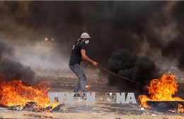 Xung đột tại Dải Gaza: 1 người chết, 170 người bị thương