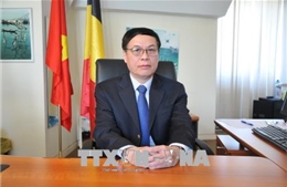 Tăng cường dự án hợp tác vùng Wallonie–Bruxelles với Việt Nam  